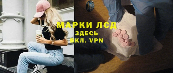 прущий лед Алзамай