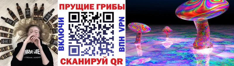 omg маркетплейс  Поронайск  Псилоцибиновые грибы Psilocybe  продажа наркотиков 